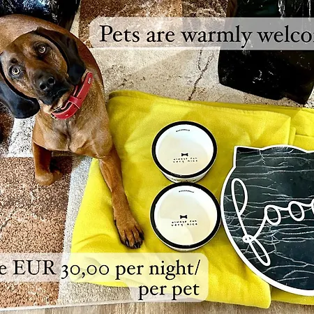 Apartment Villa Salzburg By Welcome To Salzburg Salzburg